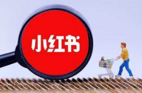 小紅書(shū)KOL