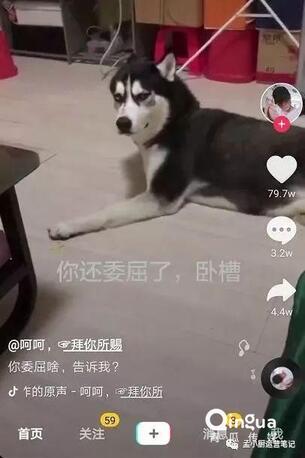 怎么做抖音？抖音6種運營推廣技巧！