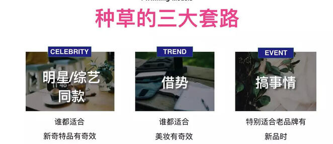 玩轉(zhuǎn)社交電商，小紅書(shū)種草六五攻略