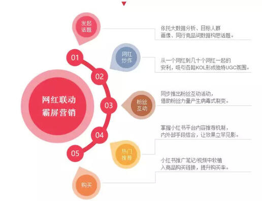 玩轉(zhuǎn)社交電商，小紅書(shū)種草六五攻略